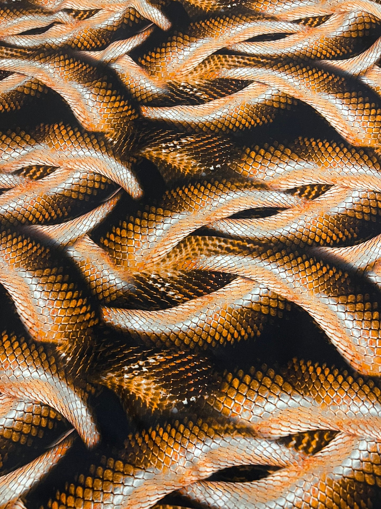 Snake skin design print on the best quality of heavy nylon spandex 4-stretch 58/60”sold by the YD.ships worldwide from Los Angeles CA USA.